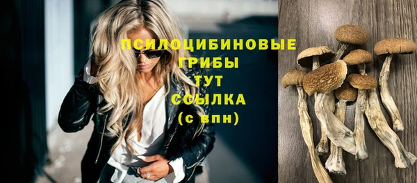 не бодяженный Беломорск