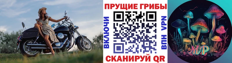 Псилоцибиновые грибы ЛСД  купить наркотики цена  Шебекино 